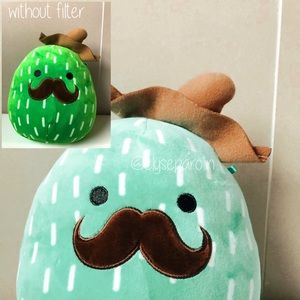 cactus squishmallow 8 inch 🌵🌊